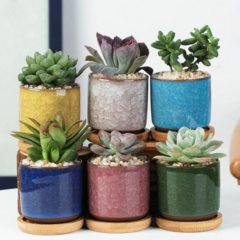 Conjunto de vaso de cerâmica 6 - Plant Desk Mini avaliação e preço